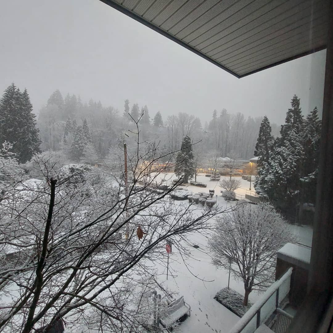 Snow in Vancouver